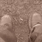 jo-jo123 thumbnail