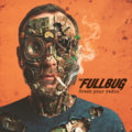 the Fullbug image