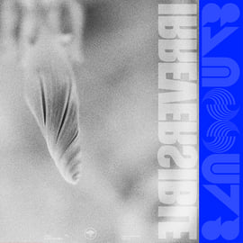 Standard 160g 12" Vinyl, image 3