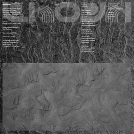Standard 160g 12" Vinyl, image 4