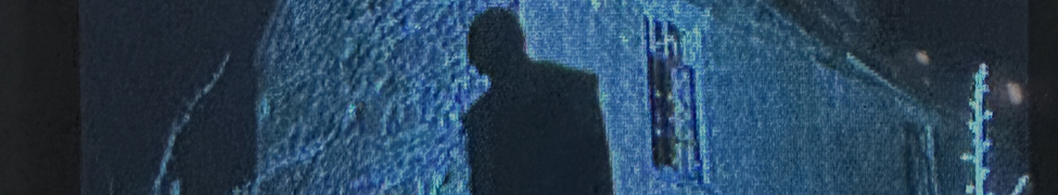 Sullii — Photo