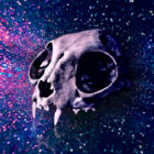 rachaelly thumbnail