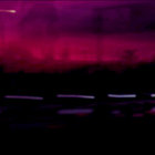 TooManyGecccos thumbnail
