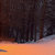 YvyV thumbnail