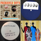 We Are Really Sorry | Pachanga Boys