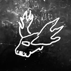 f4br1ce thumbnail