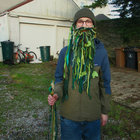 weirdfishes123 thumbnail