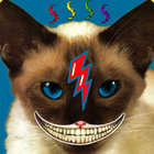 alonsofuegato thumbnail