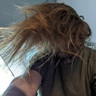 Joe Wells thumbnail