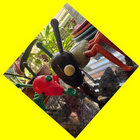Randall  thumbnail