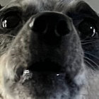 nori_tonkotsu thumbnail