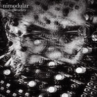 nimodular thumbnail