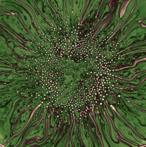 GUAVA