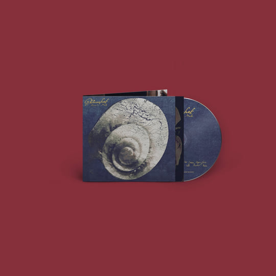 Snail mail LUSH LP 限定スプラッター盤 Snail Mail-Lush Exclusive LP Color Vinyl | Newbury Comics