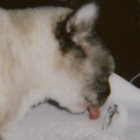 Wytch thumbnail