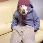 captwalrus thumbnail