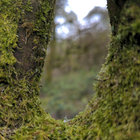 akwizgran thumbnail