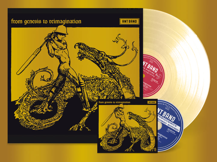 From Genesis to Reimagination | The Ant Band