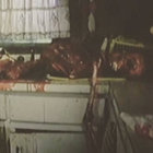 reattachedlimbs thumbnail