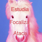 saramì thumbnail