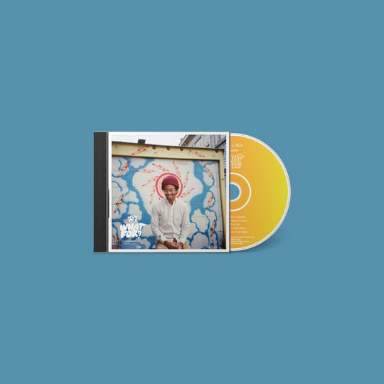 洋楽 Toro Y Moi / What For? [signed vinyl] What For? | Toro y Moi