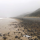 Graham Wilson thumbnail