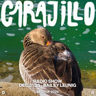 baileycarajillo thumbnail