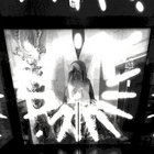 agorachromia thumbnail