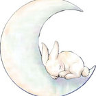sacredbunny thumbnail