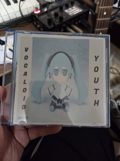 VOCALOID YOUTH | 路傍の石