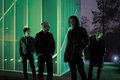 New Candys photo