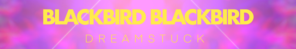 Blackbird Blackbird — Photo