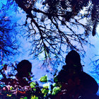 curtislistens thumbnail