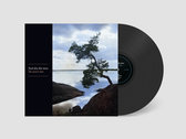 Merch | And Also The Trees