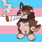 apeildotnet thumbnail