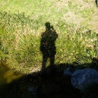 tottui thumbnail