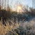 pop71_ juan thumbnail