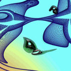 Stick Man | Tony Levin