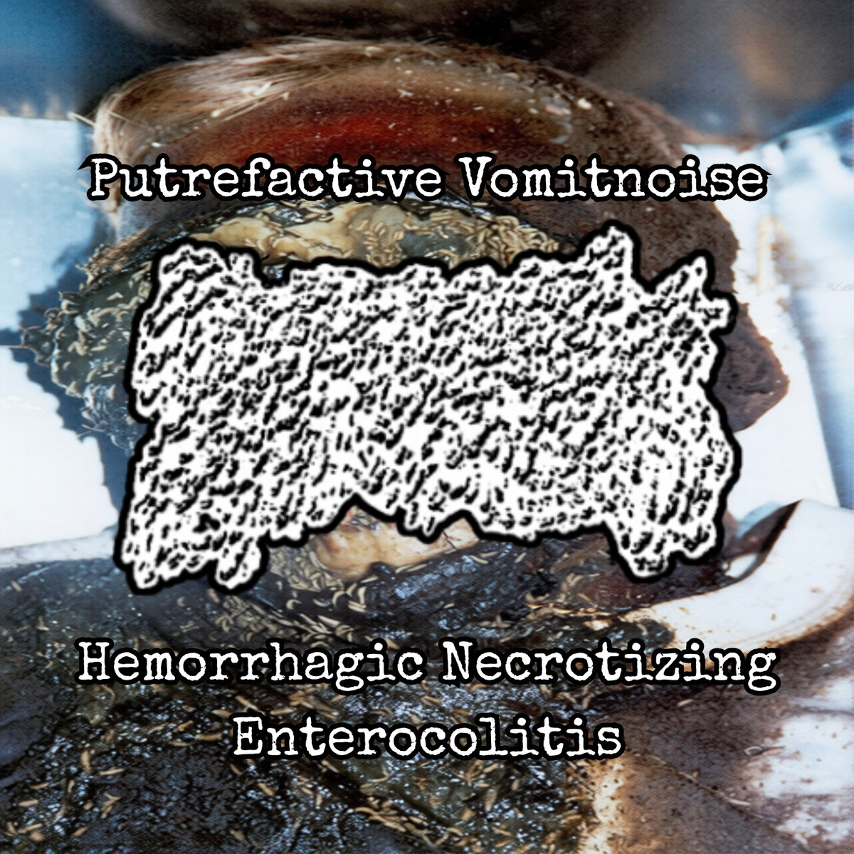 From Flesh to Liquid Mess - Split w/ VIOLENT NECROPSY ...