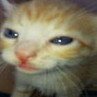 emy thumbnail
