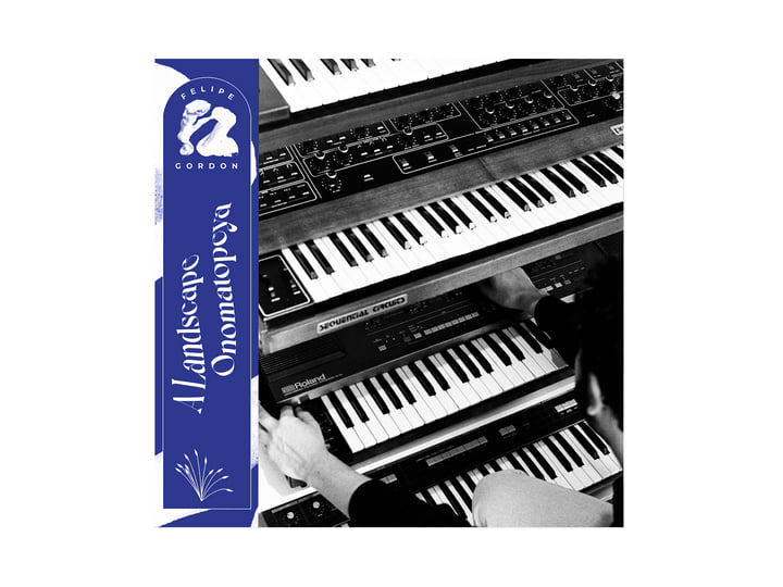 A Landscape Onomatopeya LP | Felipe Gordon