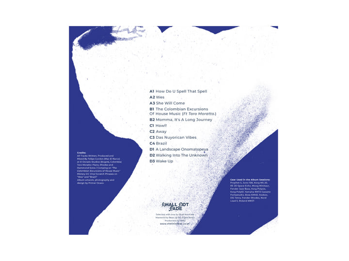 A Landscape Onomatopeya LP | Felipe Gordon