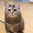 e12489593758382 thumbnail