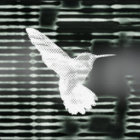 Hummingbird_by_bpz_fan thumbnail