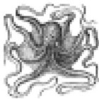 roboctopus thumbnail