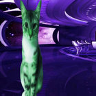 Liaxm thumbnail