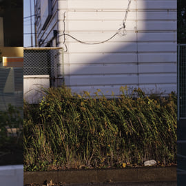 Silent Way, image 3
