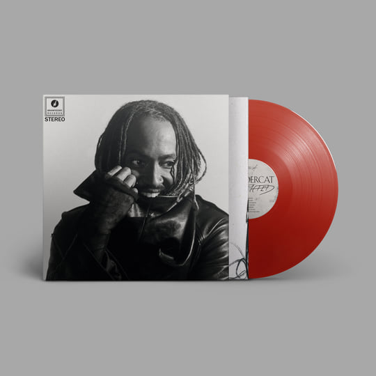 【特典完備】Thundercat Distracted 限定盤/帯付/レコード Distracted | Thundercat