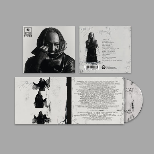 Distracted | Thundercat