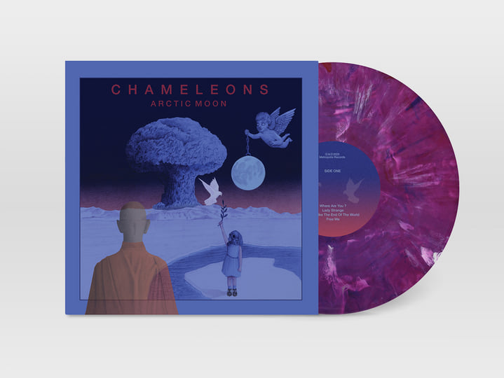Arctic Moon | Chameleons | Chameleons UK